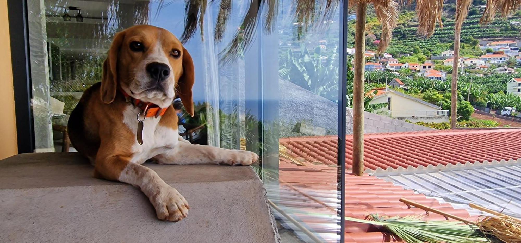 アルコ・ダ・カリェタ Torre Bella Gardensヴィラ エクステリア 写真